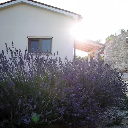 House Toni 1102